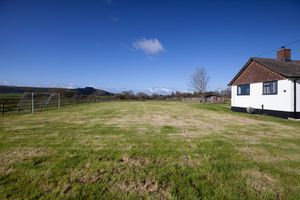 Garden- click for photo gallery